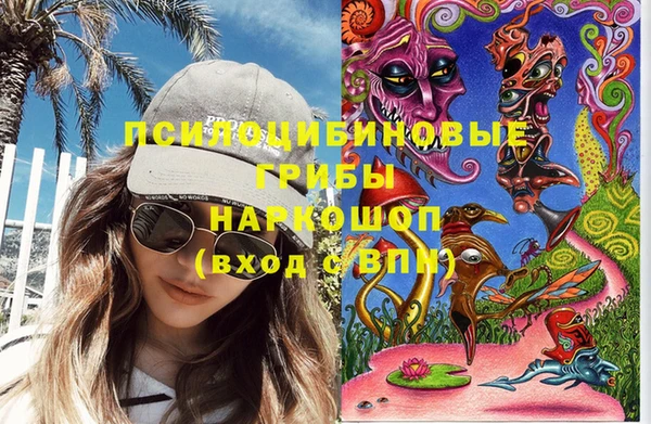 a pvp Новокубанск