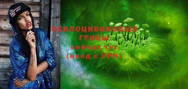 мдпв Новодвинск