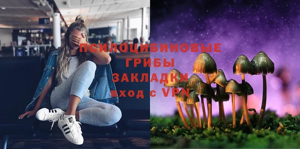 мдпв Новодвинск