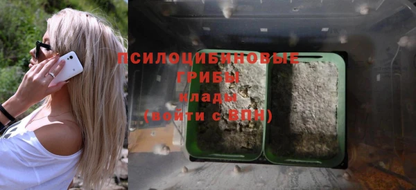 мдпв Новодвинск
