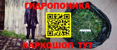 молекула духа Ачхой-Мартан