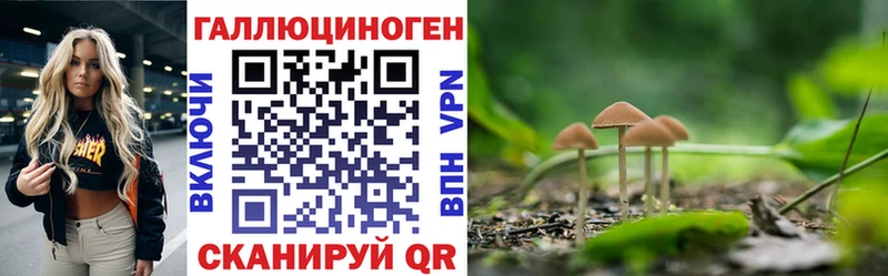 omg онион  Старая Русса  Псилоцибиновые грибы Cubensis  дарнет шоп 