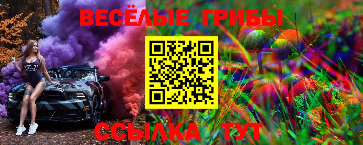 Галлюциногенные грибы Magic Shrooms  Галлюциногенные грибы Psilocybe  Вход с VPN  Старая Русса 